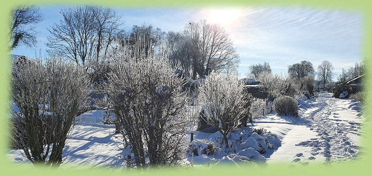 Winter_Februar_2021_-_1a