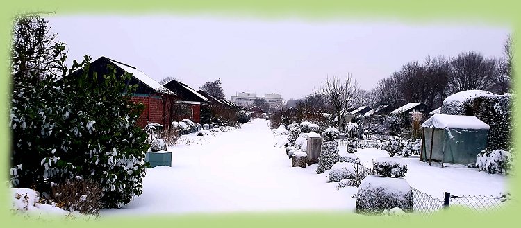 Winter_Februar_2021_-_2