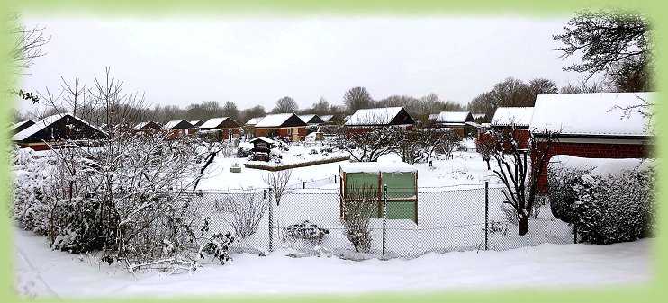 Winter_Februar_2021_-_4