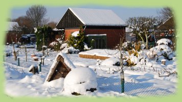 Garten Thiele - 18. Jan. 2013