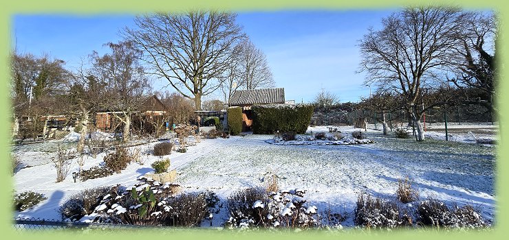 Garten 1 - 11. Januar