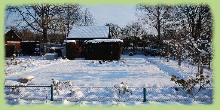 Garten 1 - 18. Jan. 2013
