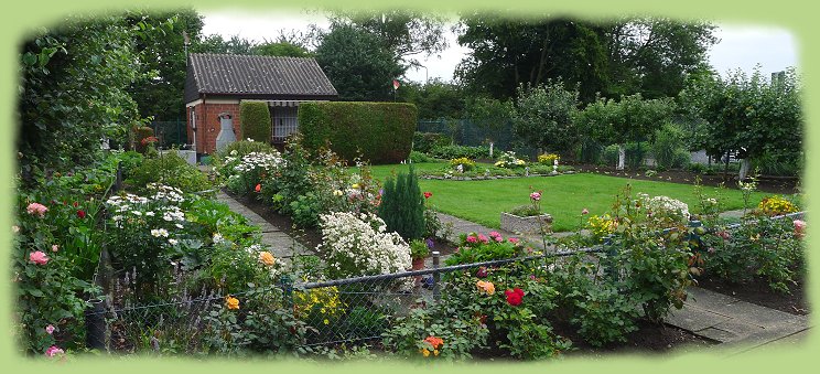 Garten 1 -  Juli