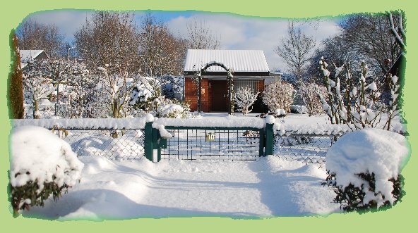 5. Januar 2009-5