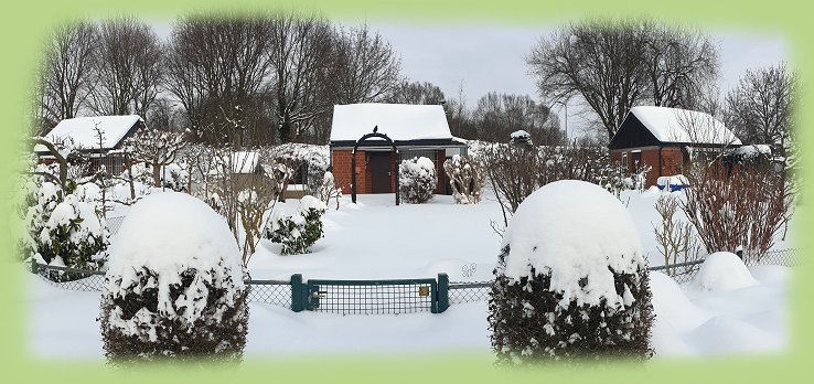 Garten_10_-_2021