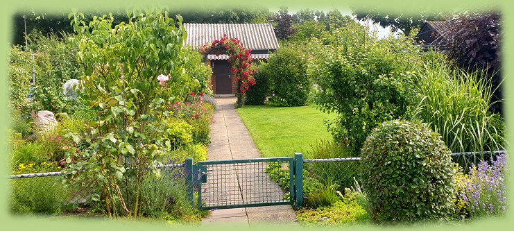 Garten 10 - 2024