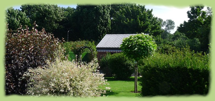 Garten 10 - Juli