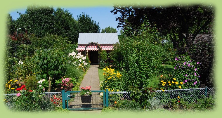 Garten 10 -  August 2009