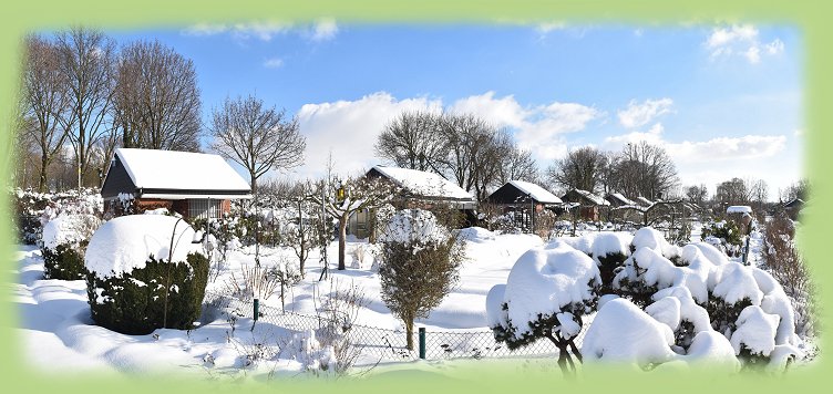 Garten 11 - 2021
