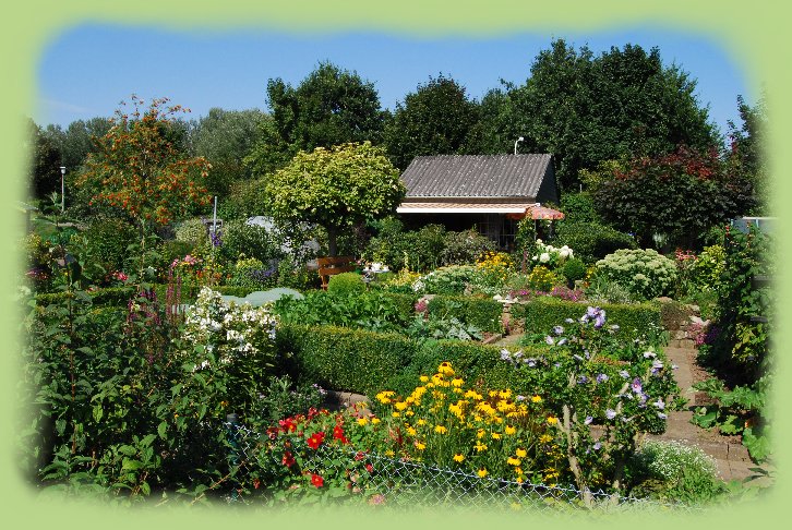 Garten 11 - August 2009