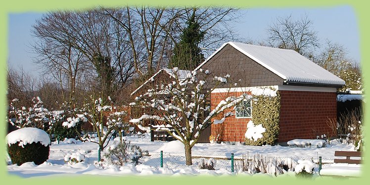 Garten 12 - 18. Jan. 2013