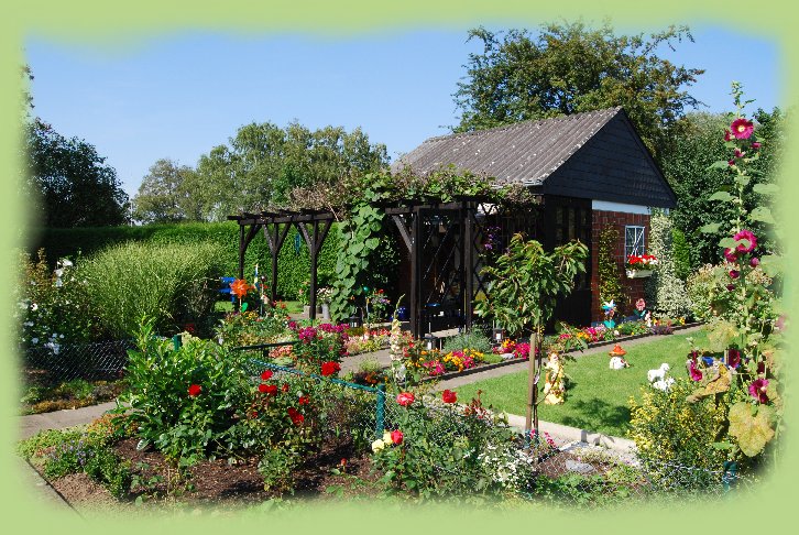 Garten 12 -  August 2009