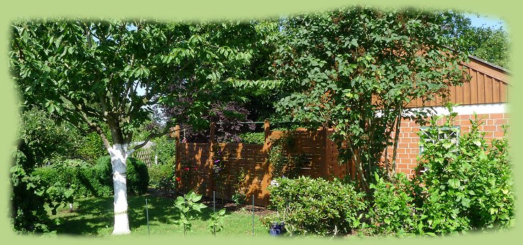 Garten 13 - Juli