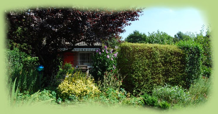 Garten 13 -  August 2009