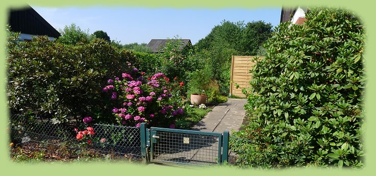 Garten 14 - Juli