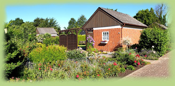 Garten_15_-_2019