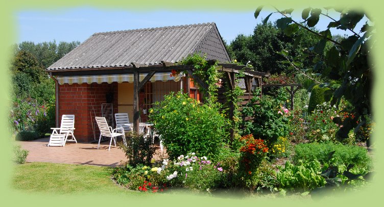 Garten 16 - August 2009