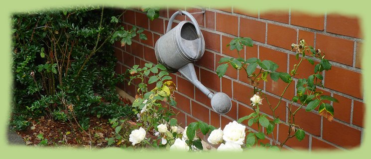 Garten 17 -- Juli