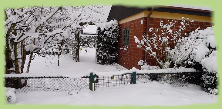 Garten 17 - 16. Jan. 2013