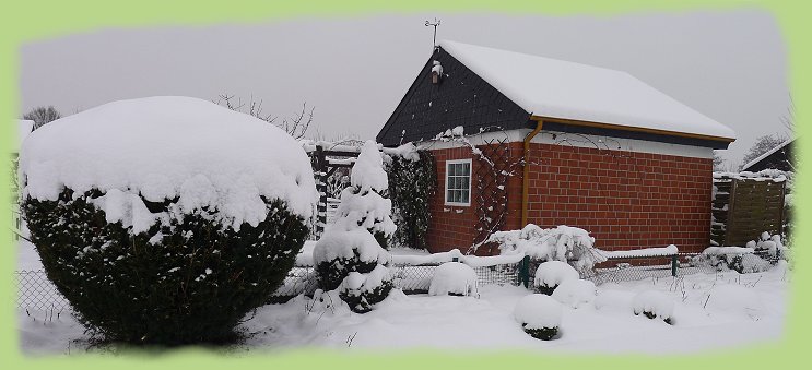 Garten 18 - 16. Jan. 2013