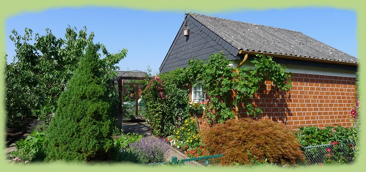 Garten 18 - Juli