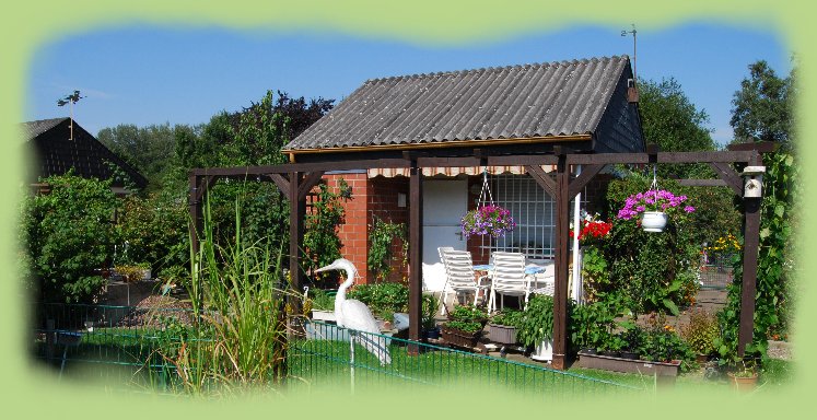 Garten 18 -  August 2009