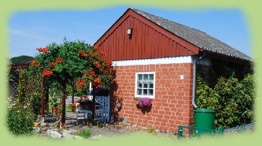 Garten 19-2 -  August 2009