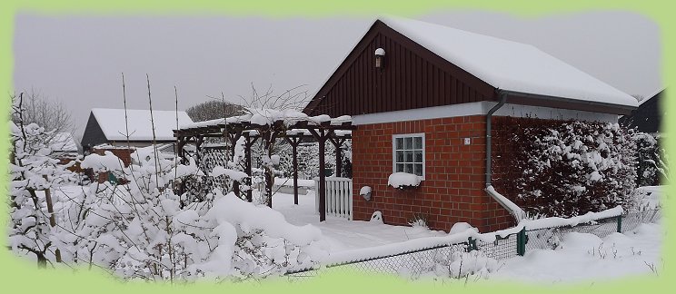 Garten 19 - 16. Jan. 2013