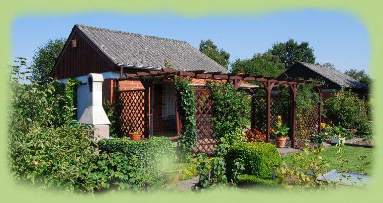 Garten 19 -  August 2009