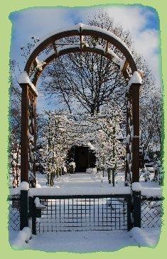 5. Januar 2009 - Garten 2