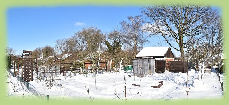 Garten 2 - 2021