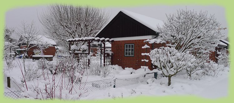Garten 20 - 16. Jan. 2013