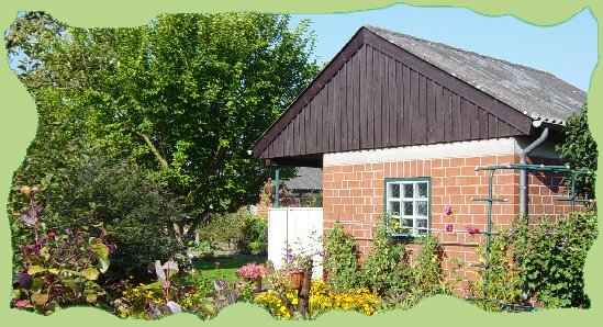 Garten 20 - 2006