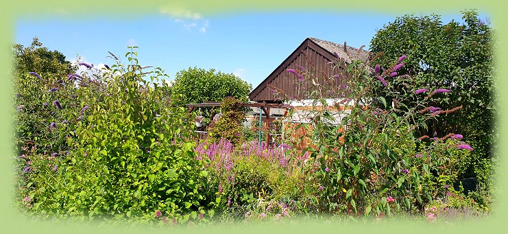 Garten 20 - Juli 2024