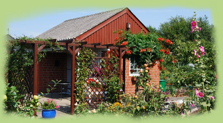 Garten 20 -  August 2009
