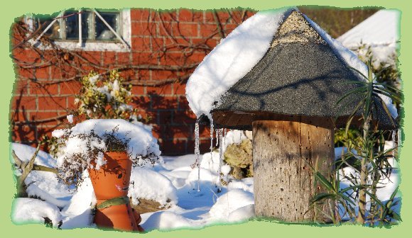 5. Januar 2009 - Garten 21