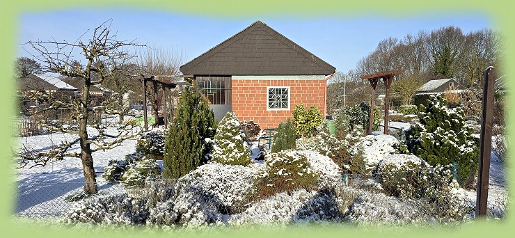 Garten 21 - 11. Januar