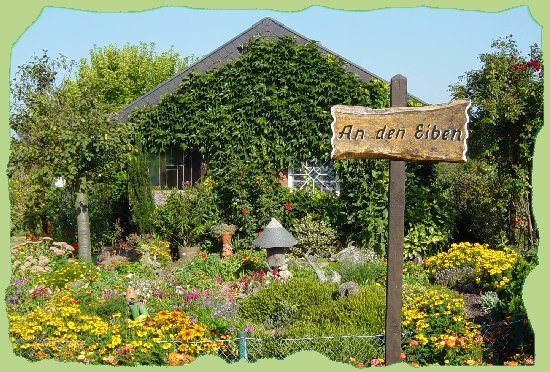 Garten 21 - 2006