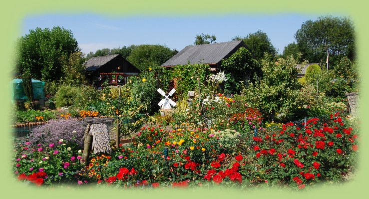 Garten 21 -  August 2009