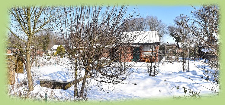 Garten 22 - 2021
