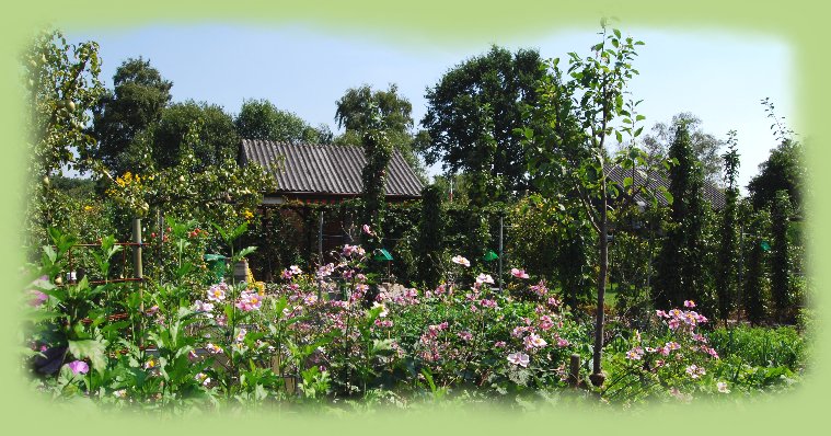 Garten 22 -  August 2009