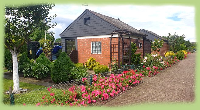 Garten 23  - Juni 2024