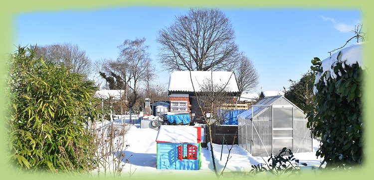 Garten 24 - 2021