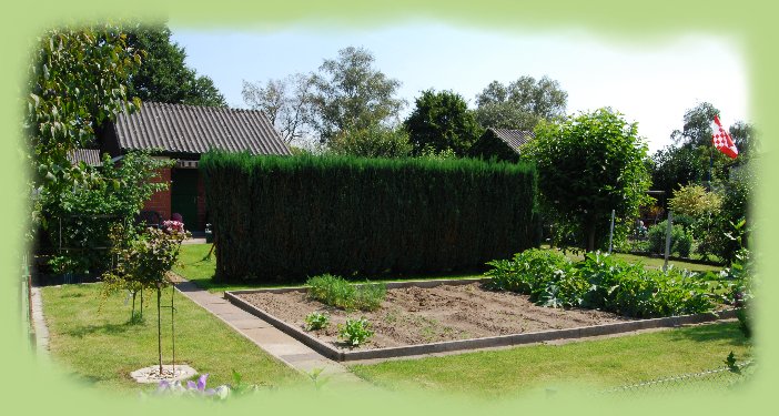 Garten 24 -  August 2009