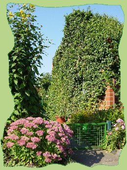 Garten 25 - 2006