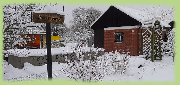Garten 26 - 16. Jan. 2013