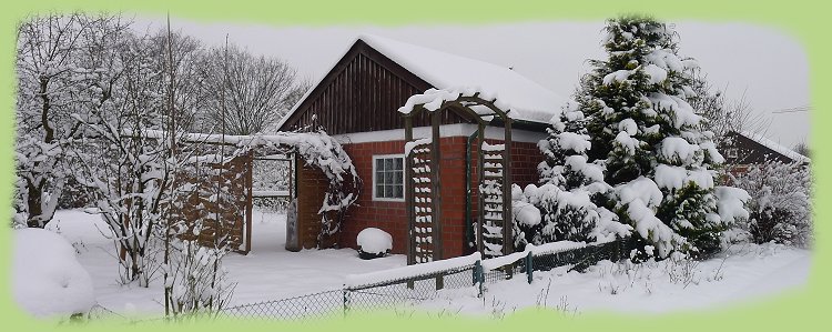 Garten 27 - 16. Jan. 2013