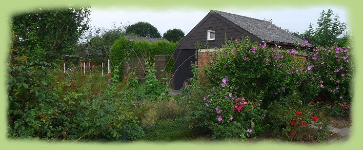 Garten 30 -  Juli
