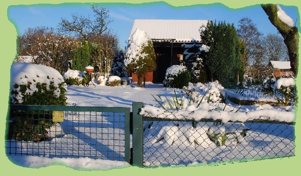 5. Januar 2009 - Garten 31