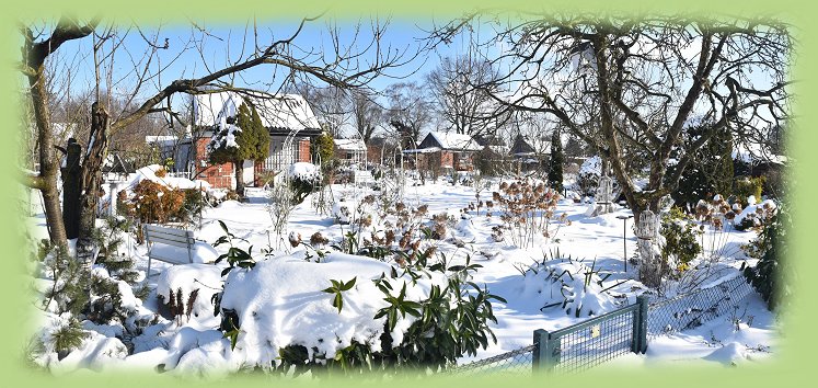 Garten-31 - 2021